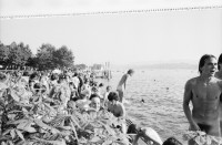 Image of sheet 19800324 photo 23: Nacktbaden als Protest der Jugendbewegung im Zürichsee am Uto Quai nach Demonstration am Nationalfeiertag 1. August 1980 in Zürich.
protest youth movement Jugendbwegung Zürcher Jugendunruhen