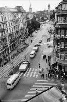 Image of sheet 19800342 photo 11: N