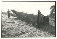 Image of sheet 19800362 photo 25: S