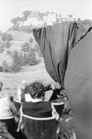 Image of sheet 19800362 photo 34: s