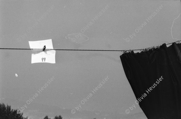 Image of sheet 19800363 photo 1: Giuseppe Reichmuth veranstaltet 'Show' auf dem Goffersberg vis a vis Schloss Lenzburg.
Theater von Giuseppe Reichmuth auf dem Goffersberg mit Sicht auf die Lenzburg. Securitas bewacht Theater Eingang. Kanton Aargau 

Mit Verena Blumer. Journalist Roland Huber Securitas. Portrait Verena, Roli Fischbacher, Olivia und Thomas 

Jugendbewegung Bewegig AJZ Zürcher Jugendunruhen Demonstrationen 1980 Zürich