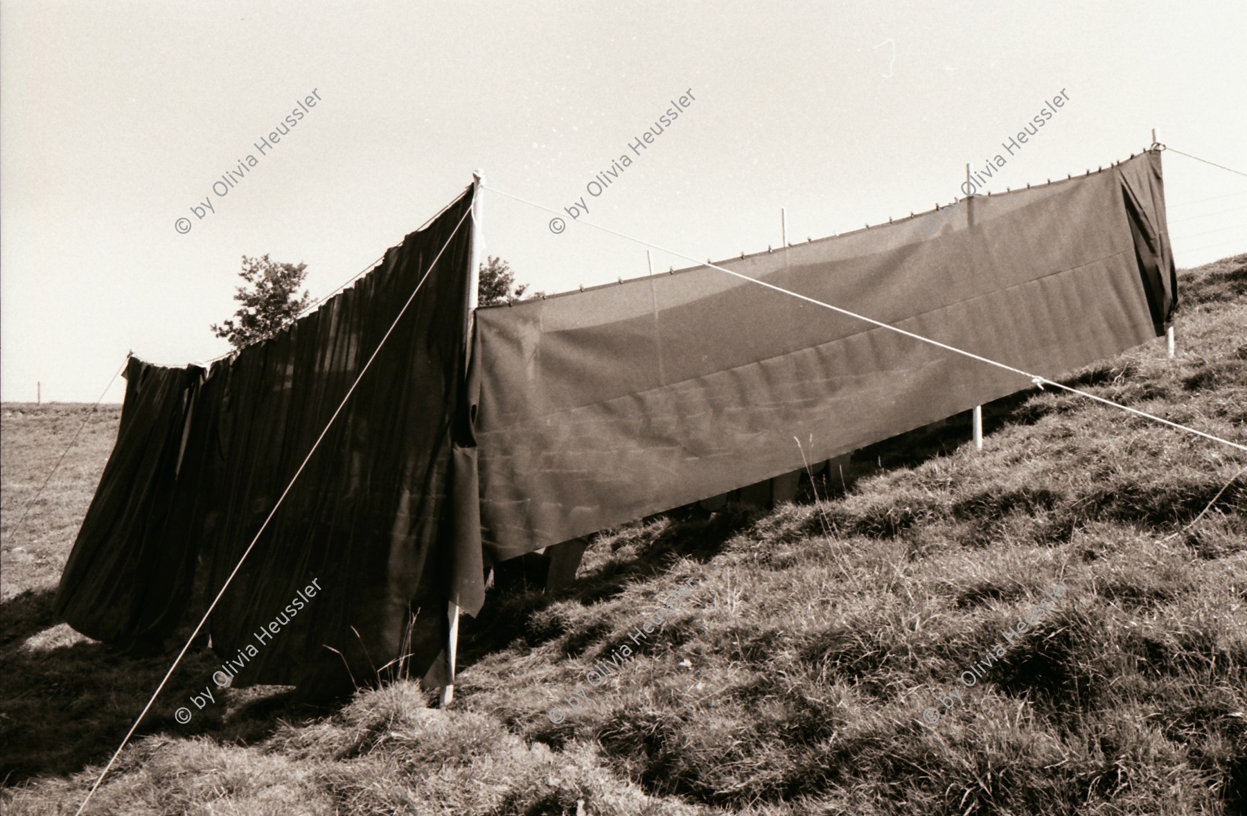 Image of sheet 19800363 photo 19: Freilufttheater Action Theater von Giuseppe Reichmuth auf dem Goffersberg bei Lenzburg. Kanton Aargau Schweiz 09.80 √