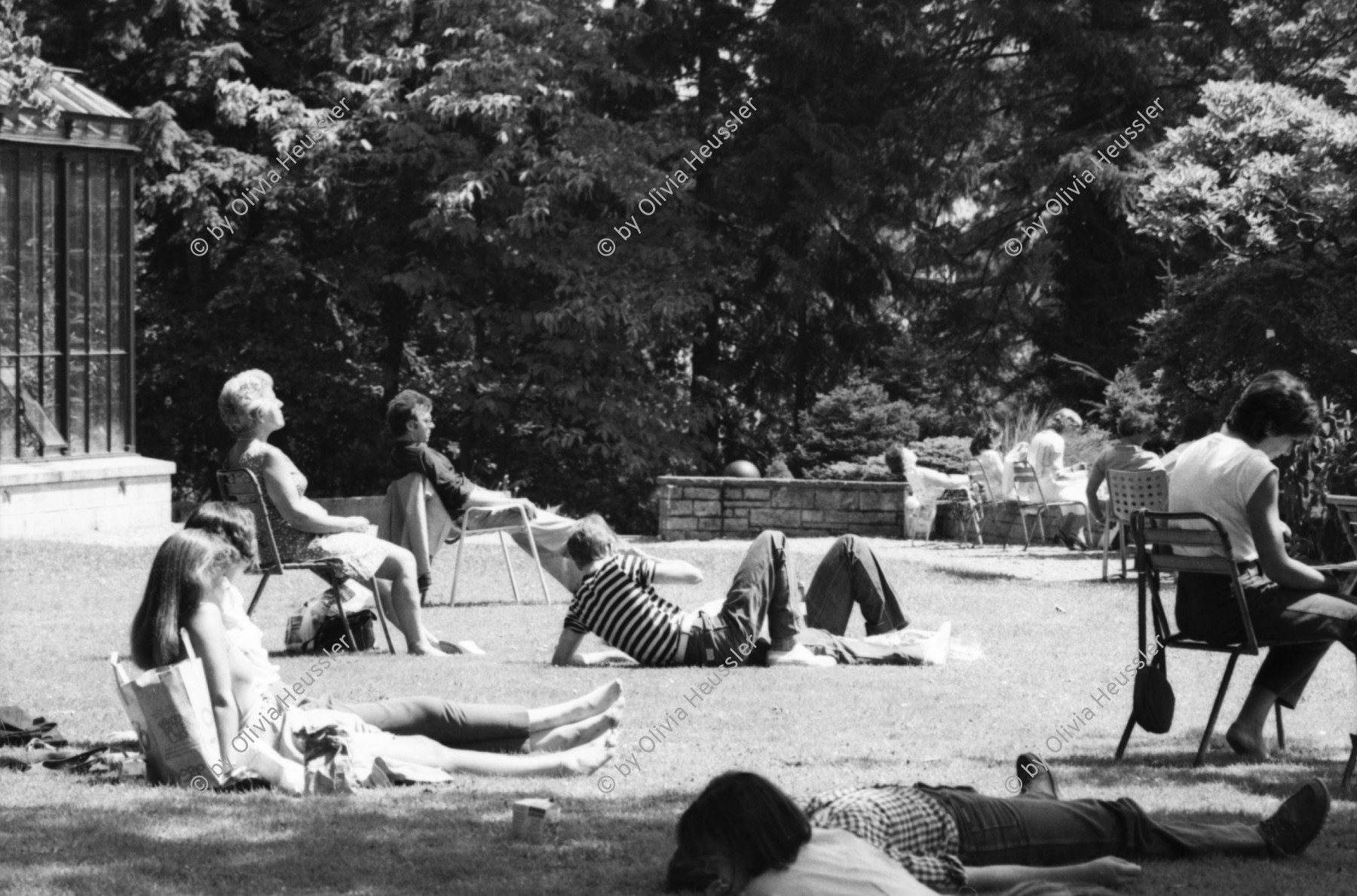 Image of sheet 19800372 photo 35: Dampfschifffahrt auf dem Zürichsee auf der 'Möve' und Wädenswil'. Junge zieht Fisch an Rute aus dem See. Leute beim Sonnenbaden auf Wiese und in Bad. Für Blick. Fischerrute Zürich Schweiz Suisse 1980 Switzerland lake ship steamer