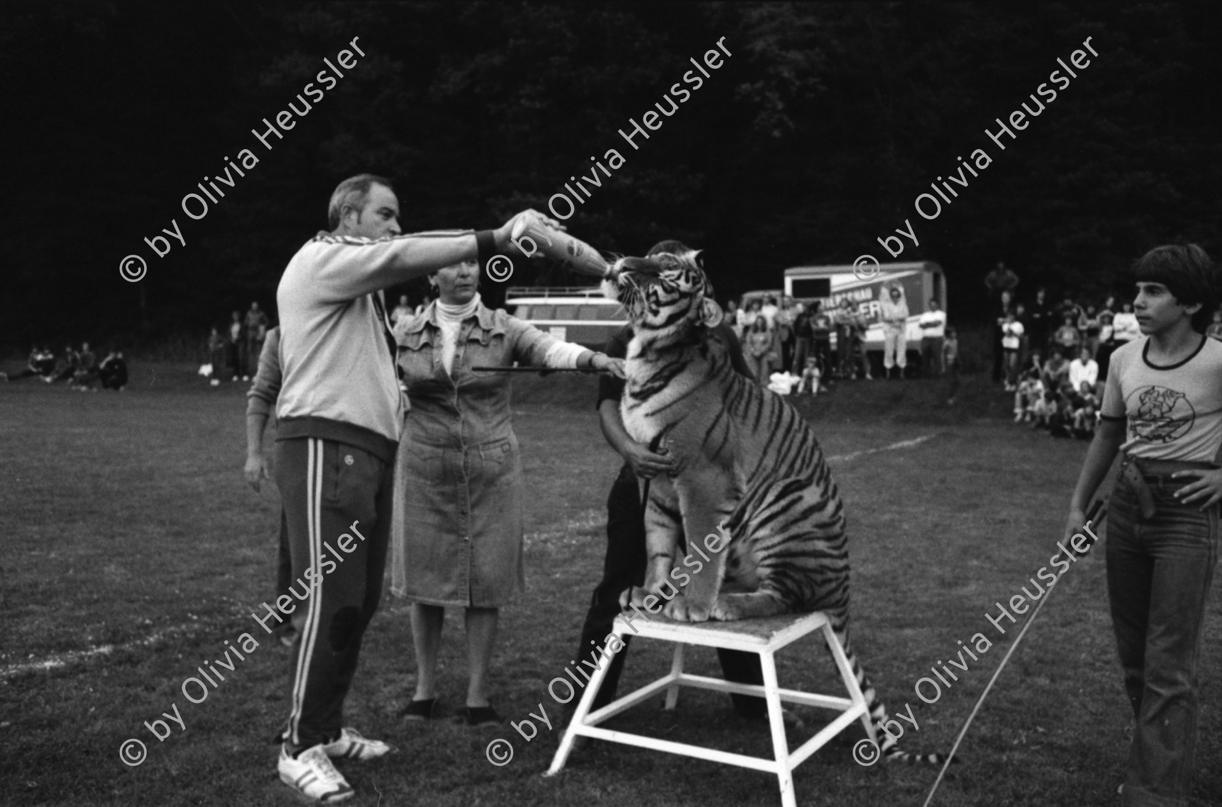 Image of sheet 19800380 photo 19: Fritz Künzli (* 8. Januar 1946 in Glarus) ist ein ehemaliger Schweizer Fussballspieler, der mit dem FC Zürich FCZ in den Jahren 1966 und 1968 zweimal in der Nationalliga A die Schweizer Fussballmeisterschaft gewann.

Erich Schärer (* 1. September 1946 in Zürich) ist ein ehemaliger Schweizer Bobpilot.
Er gewann bei den Olympischen Winterspielen 1976 in Innsbruck die Bronzemedaille im Zweier-Bob und die Silbermedaille im Vierer-Bob. Diese Leistung konnte er bei den Olympischen Winterspielen 1980 in Lake Placid übertreffen. Er gewann die Goldmedaille im Zweier-Bob und die Silbermedaille im Vierer-Bob. 
Mit ihm fuhr ich in St. Moritz im Feierabend den Bobrun hinunter.
Tiger trinkt aus Flasche im Käfig. für Blick