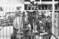 Image of sheet 19800402 photo 2: Schliessung AJZ Polizeigrenadiere mit Gummigeschoss Gewehr. Zürich Jugendunruhen 1980. Stacheldraht. Polizei Jugendbewegung Bewegig AJZ Zürcher Jugendunruhen Demonstrationen Zürich 1980 Negative unauffindbar verloren ? falsch abgelegt