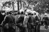 Image of sheet 19800490 photo 34: Die Polizei verhindert am 11. Oktober 1980 auf der Pestalozziwiese in Zuerich einen friedlichen Protest der Jugendbewegung.
Bewegig Zürcher Jugendunruhen Demonstrationen
youth movement