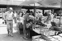 Image of sheet 19800541 photo 2: Markt Helvetiaplatz, Zürich Schweiz 1980.