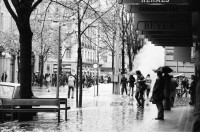 Image of sheet 19800541 photo 29: Güseldemo Bahnhofstrasse Polizei vor Grieder.  
Jugendbewegung Bewegig AJZ Zürcher Jugendunruhen Demonstrationen
Youth movement Zürich 1980 √