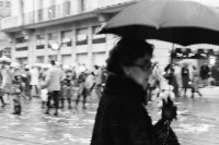Image of sheet 19800541 photo 37: Güseldemo Bahnhofstrasse Paradeplatz.
Jugendbewegung Bewegig AJZ Zürcher Jugendunruhen Demonstrationen
Youth movement Zürich 1980 √
