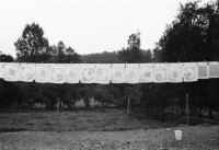 Image of sheet 19800551 photo 7: Wäscheleine mit Servietten.