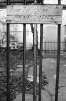 Image of sheet 19800560 photo 12: «Softeis statt Packeis» Rundgang im Quartier Kreis 4. 'Hier Gaffen geile Affen' Stützli Sex. Sex Shop Im Gambrinus. Olivia und Thomas Krempke. Baumulde Badenerstrasse Kernstrasse. Lochergut. Kleider Markt. Eingeschlagene Bank Scheibe. Portrait Thomas Gabathuler Ebi und Priska Mäder Tochter von Herbert Mäder. Pucci in meinem Zimmer. Ohr.
Jugendbewegung Bewegig AJZ Zürcher Jugendunruhen Demonstrationen Zürich 1980