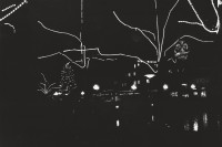 Image of sheet 19800580 photo 5: Weihnachtsbeleuchtung mit Lichter Girlanden an Bäumen dem Limmatquai entlang. Mit Fraumünster Kirche. Zürich 1980 √