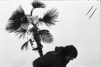 Image of sheet 19800600 photo 11: Dreharbeiten für Karussell DRS «Der Eisbrecher» Film von Urs Wäckerli im Schnee mit Palme und Eisbär. Eisbrecher Redaktion wird im Schnee aufgestellt mit Koni Frei Michel Hüttner Punky Markus Kenner Roli Fischbacher Pucci Antonella Martegani Fredi Alfred Meier u.v.a. Müllersendung im TV DRS mit Fredi Meier Hayat Aldin Emilie Lieberherr.
Jugendbewegung Bewegig AJZ Zürcher Jugendunruhen Demonstrationen

Dreharbeiten zur Reportage über die Redaktion des Eisbrechersvon Urs Wäckerli «Der Eisbrecher», dem offiziellen Organ der Zürcher Jugendbewegung 1980 Schweiz Switzerland film Filmproduktion youth movement

© Olivia Heussler / www.clic.li