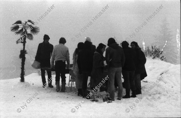 Image of sheet 19800600 photo 6: Dreharbeiten für Karussell DRS «Der Eisbrecher» Film von Urs Wäckerli im Schnee mit Palme und Eisbär. Eisbrecher Redaktion wird im Schnee aufgestellt mit Koni Frei Michel Hüttner Punky Markus Kenner Roli Fischbacher Pucci Antonella Martegani Fredi Alfred Meier u.v.a. Müllersendung im TV DRS mit Fredi Meier Hayat Aldin Emilie Lieberherr.
Jugendbewegung Bewegig AJZ Zürcher Jugendunruhen Demonstrationen

Dreharbeiten zur Reportage über die Redaktion des Eisbrechersvon Urs Wäckerli «Der Eisbrecher», dem offiziellen Organ der Zürcher Jugendbewegung 1980 Schweiz Switzerland film Filmproduktion youth movement