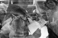 Image of sheet 19800660 photo 19: Selbstportrait mit Kamera und Zigarette in Spiegelung einer Autoscheibe. Mann liest Flugblatt im Auto. Zürich 1980.
