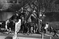 Image of sheet 19800670 photo 14: Menschen flüchten 1980 in Zürich vor der Polizei über eine Brücke der Sihl.
Jugendbewegung Bewegig AJZ Zürcher Jugendunruhen Demonstrationen
Manifestators are trying to get away from the huge clouds of teargas that filled the area round the Autonomous Youth Center. Swiss Switzerland Europe