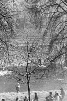 Image of sheet 19800670 photo 15: Menschen flüchten 1980 in Zürich vor der Polizei durch das kalte Wasser der Sihl.
Jugendbewegung Bewegig AJZ Zürcher Jugendunruhen Demonstrationen
Manifestators are trying to get away from the huge clouds of teargas that filled the area round the Autonomous Youth Center. Swiss Switzerland Europe