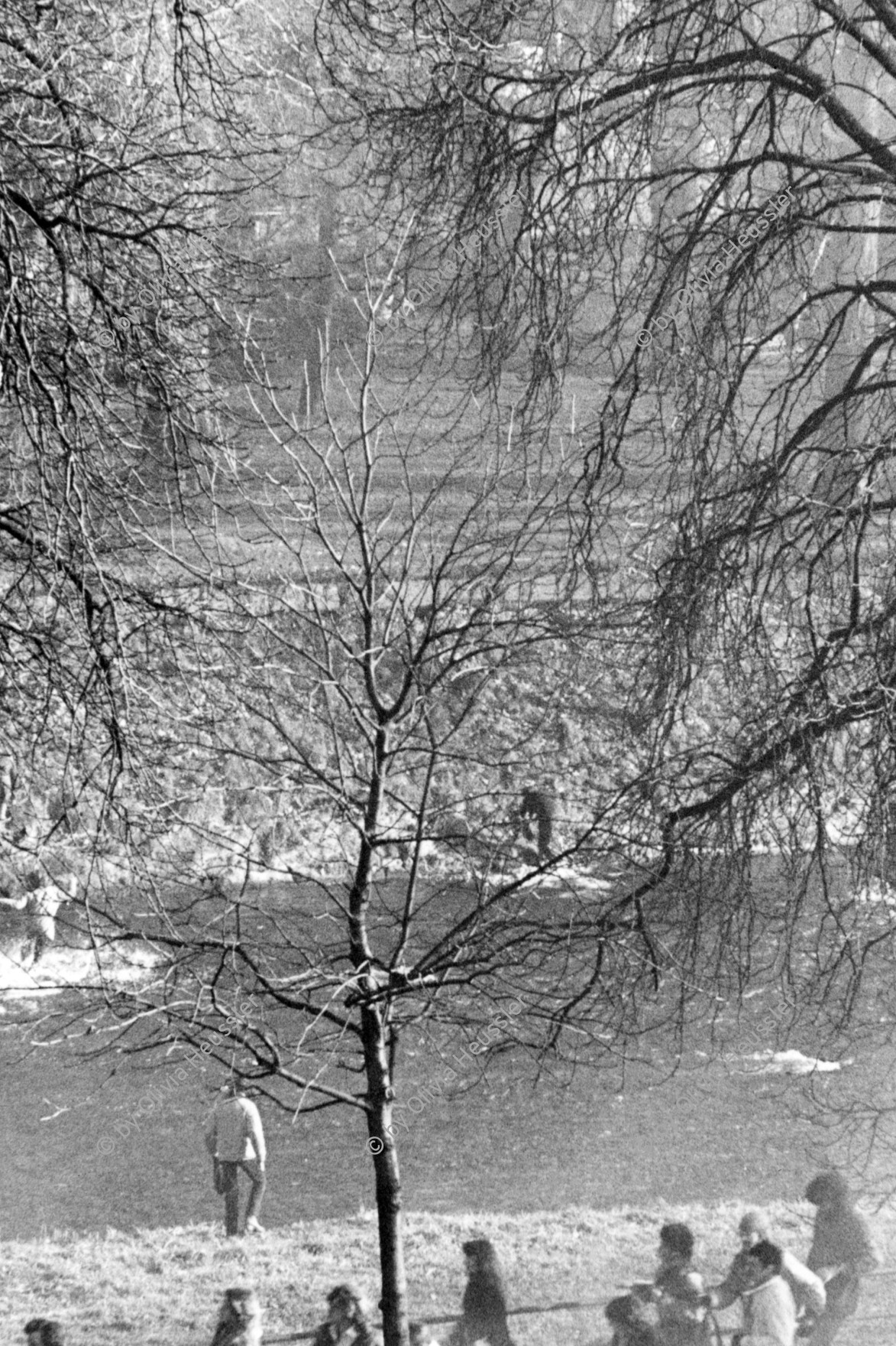 Image of sheet 19800670 photo 15: Menschen flüchten 1980 in Zürich vor der Polizei durch das kalte Wasser der Sihl.
Jugendbewegung Bewegig AJZ Zürcher Jugendunruhen Demonstrationen
Manifestators are trying to get away from the huge clouds of teargas that filled the area round the Autonomous Youth Center. Swiss Switzerland Europe