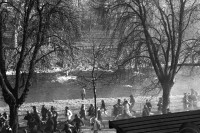Image of sheet 19800670 photo 15: Menschen flüchten 1980 in Zürich vor der Polizei durch das kalte Wasser der Sihl.
Jugendbewegung Bewegig AJZ Zürcher Jugendunruhen Demonstrationen
Manifestators are trying to get away from the huge clouds of teargas that filled the area round the Autonomous Youth Center. Swiss Switzerland Europe