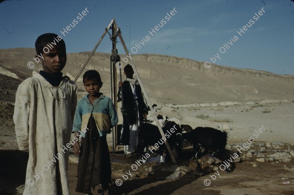 Image of sheet 19803002 photo 100: Beduin Children on a Watersource in the Sinai Desert, Israel 1980.