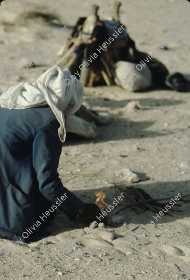 Image of sheet 19803002 photo 101: Beduine zuendet in der Sinai Wueste mit Hilfe eines Kotkegel ein Feuer an, Israel 1980.