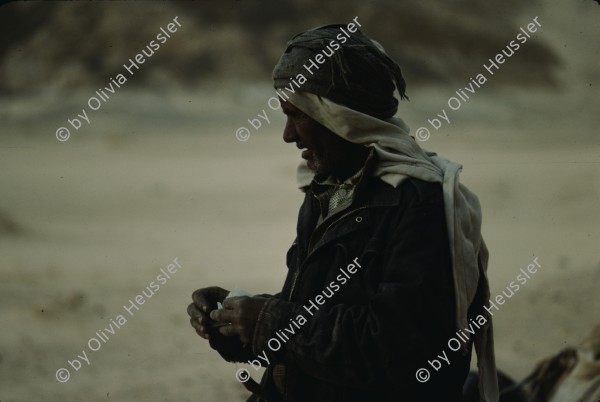 Image of sheet 19803002 photo 104: Beduine in der Sinai-Halbinsel, Israel Palaestina 1980