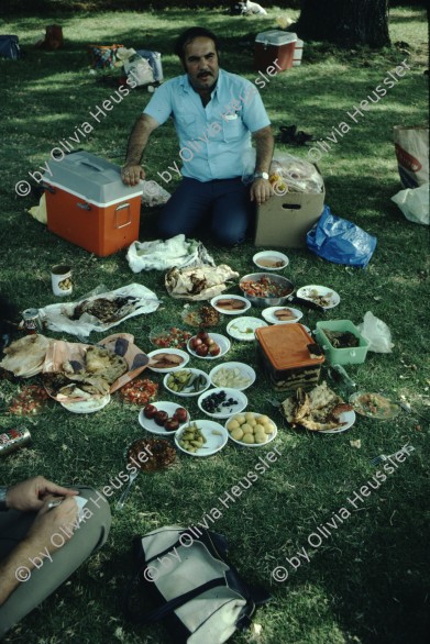 Image of sheet 19803002 photo 11: Pik Nik, Jerusalem Palestine 1980. Pique Nique