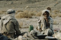 Image of sheet 19803002 photo 112: Beduins drinking tea, Sinai Desert Israel 1980.