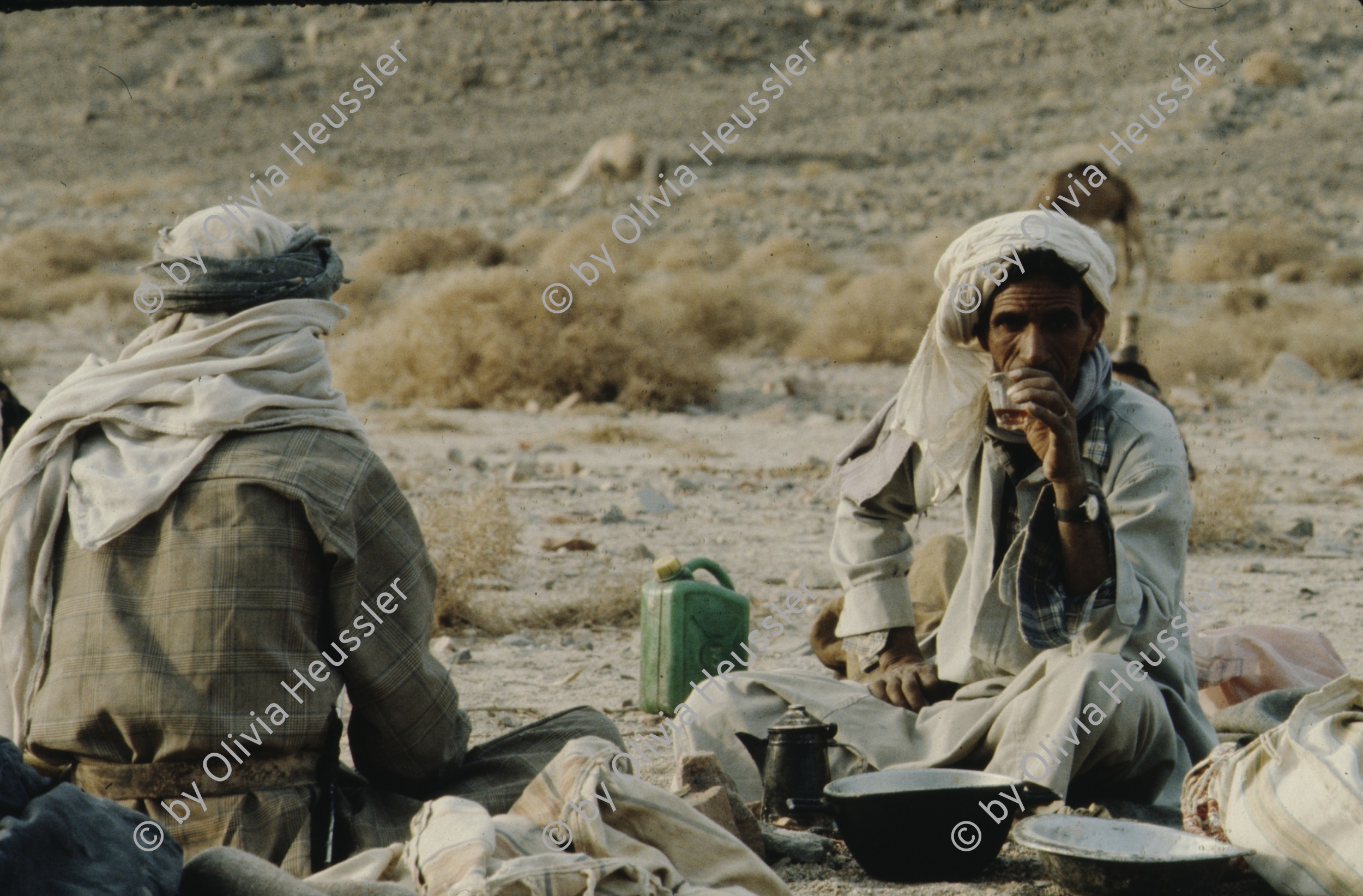 Image of sheet 19803002 photo 112: Beduins drinking tea, Sinai Desert Israel 1980.