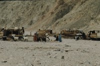 Image of sheet 19803002 photo 113: Beduin camp in the Sinai Desert, Israel 1980.