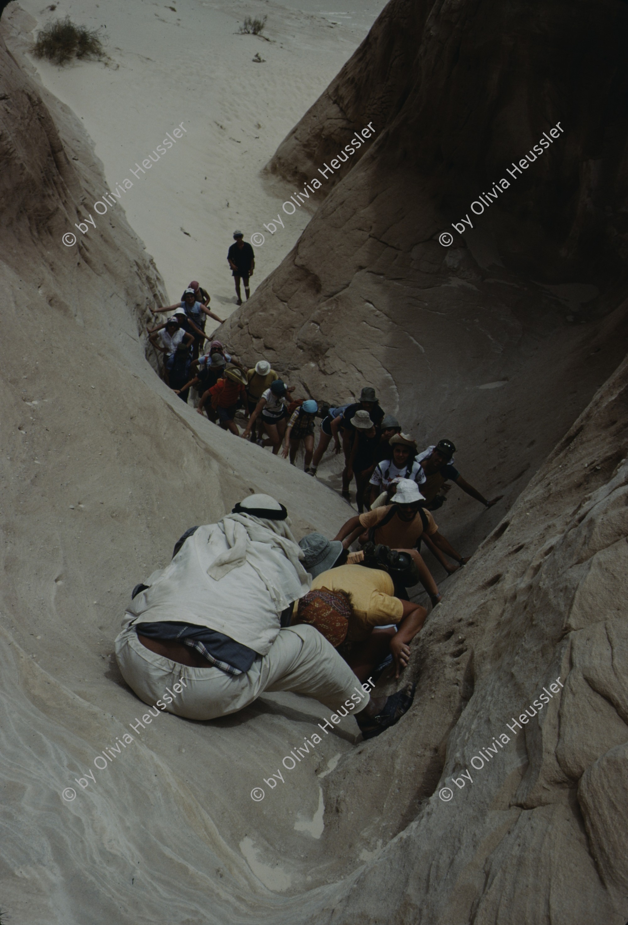 Image of sheet 19803002 photo 115: Tourists with Friends of Nature and Beduins climbing in Wadi at the Sinai Desert, Israel 1980.