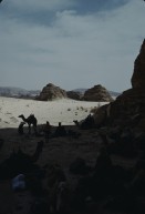 Image of sheet 19803002 photo 120: Tourists with Friends of Nature and Beduins at the Sinai Desert, Israel 1980.