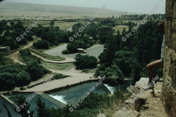 Image of sheet 19803002 photo 121: Jordan river source, Israel 1980.