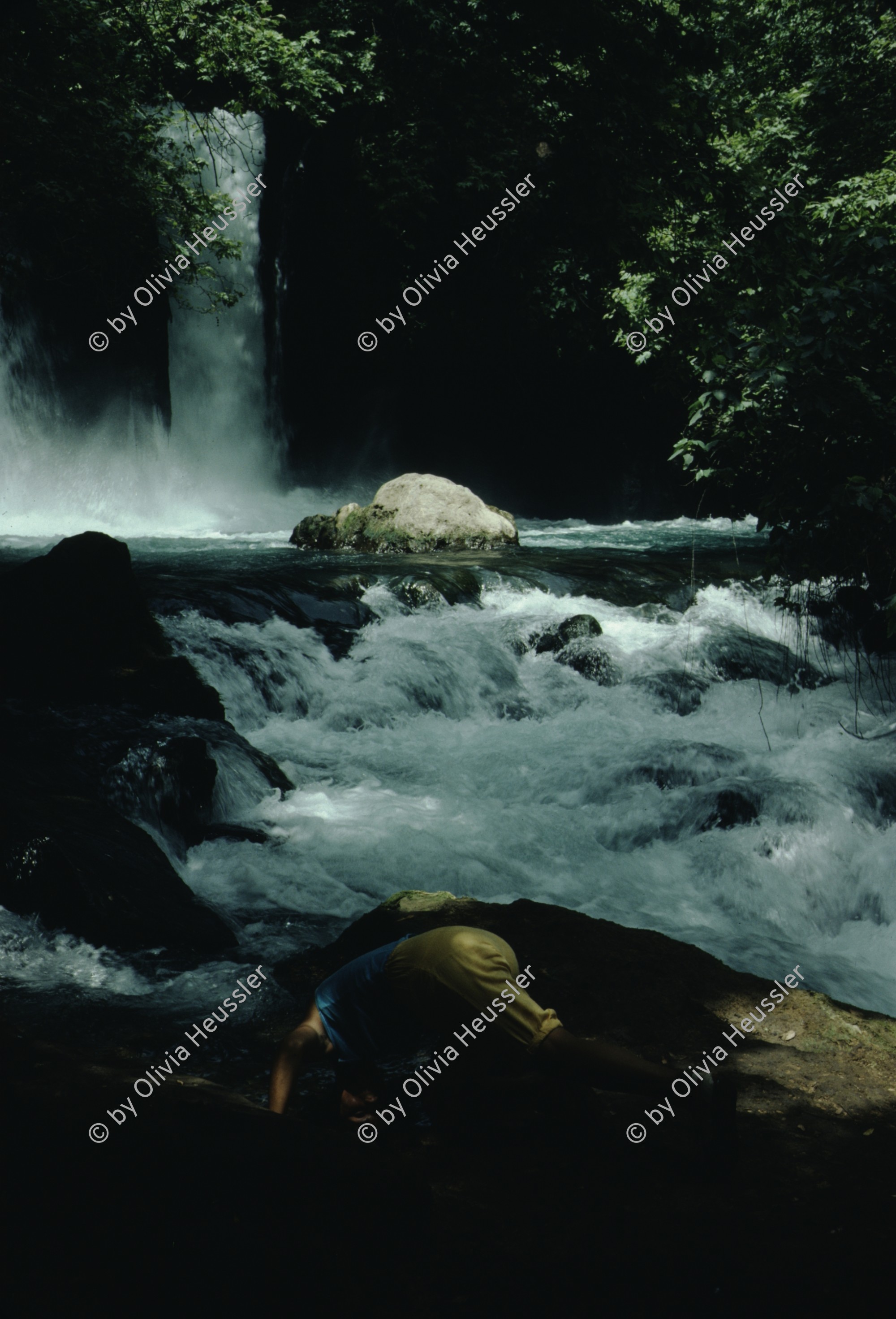 Image of sheet 19803002 photo 122: Olivia at Jordan river source, Israel 1980.