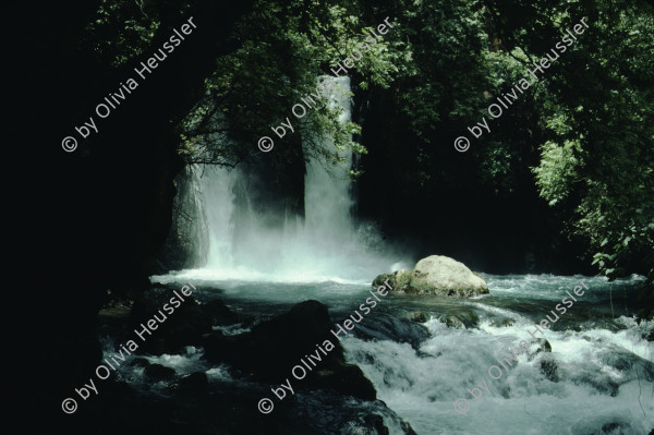 Image of sheet 19803002 photo 123: Jordan river source, Israel 1980.