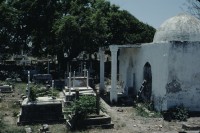 Image of sheet 19803002 photo 127: Druze grave at the historical site, near Jordan river source, Israel 1980.