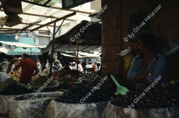 Image of sheet 19803002 photo 128: Olives on Market, Haifa Old town, Israel 1980.