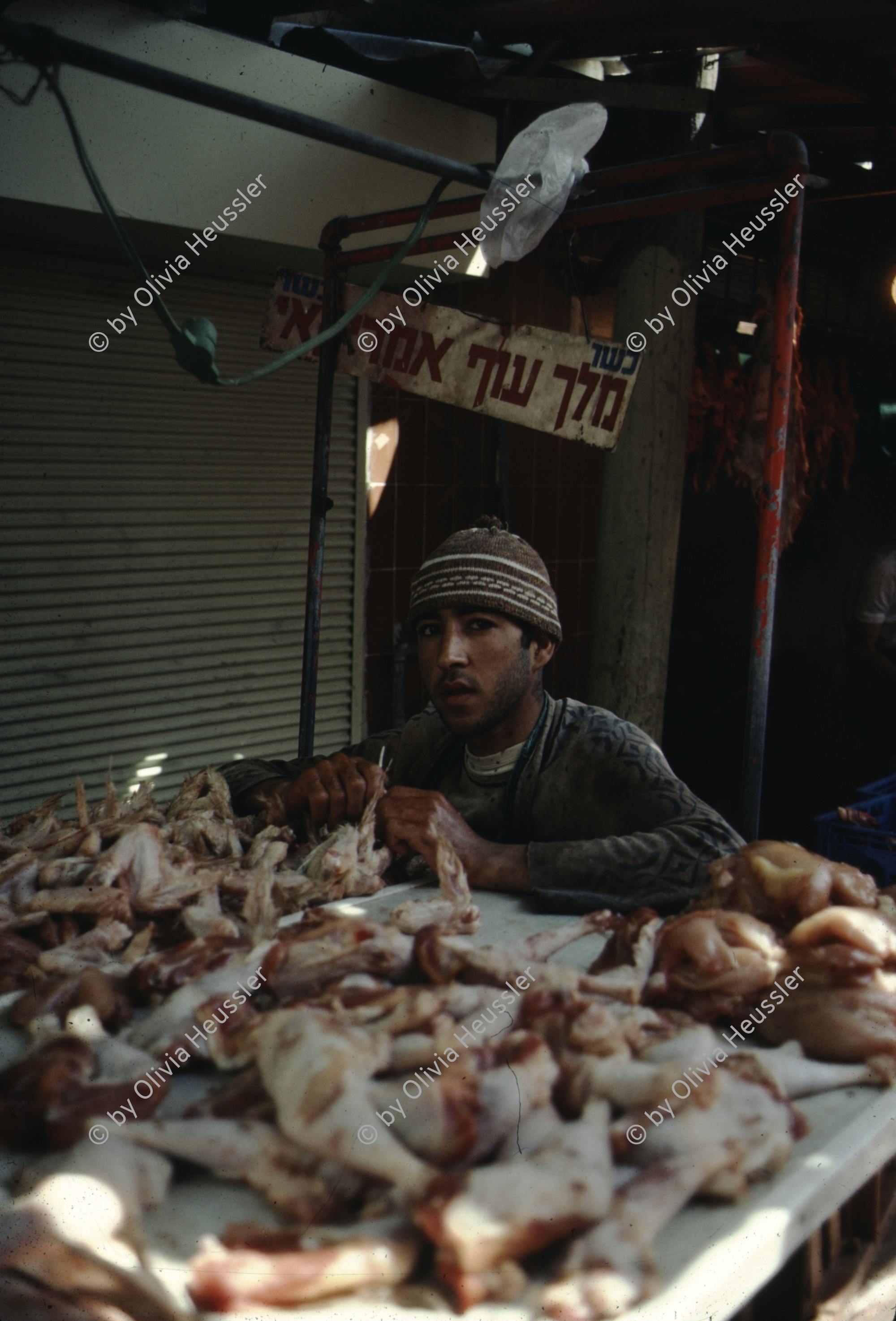 Image of sheet 19803002 photo 129: Palestinian Chicken vendor, Market, Haifa Old town, Israel 1980.