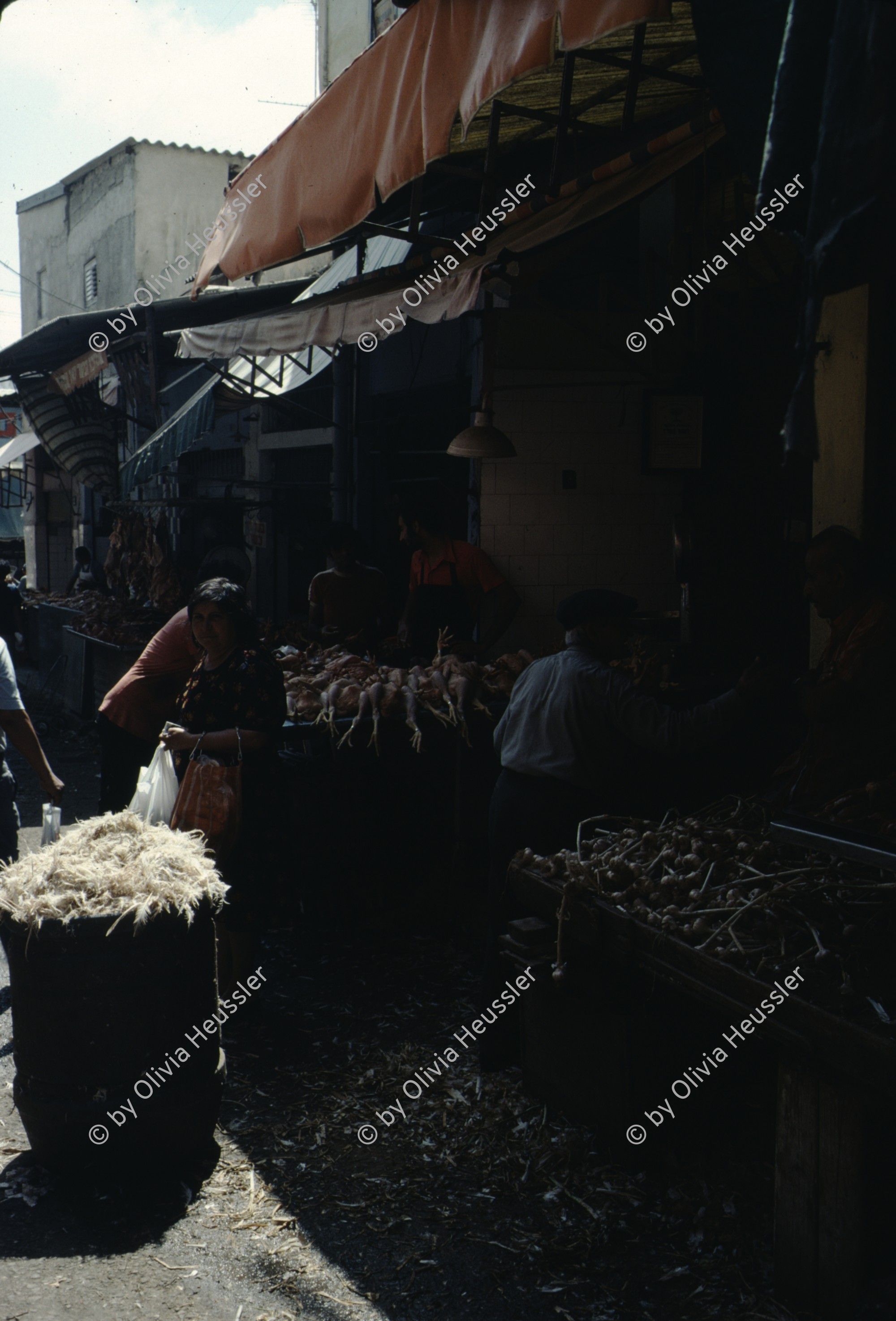 Image of sheet 19803002 photo 133: Am Markt werden die Huehner gerupft und ihr Fleisch verkauft, Tel Aviv Israel 1980.
