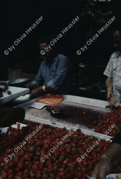 Image of sheet 19803002 photo 136: Haendler verkauft am Markt in Jerusalem Erdbeeren, Israel 1980.