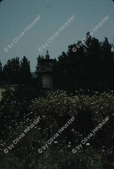 Image of sheet 19803002 photo 138: Moschee in Israel, Palästina 1980.