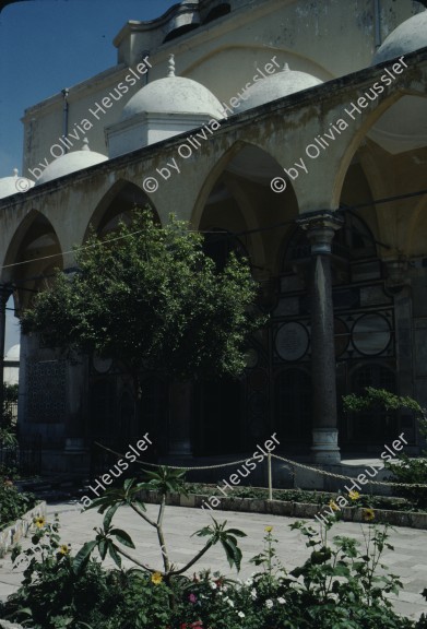 Image of sheet 19803002 photo 140: Moschee in Israel, Palästina 1980.