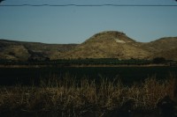 Image of sheet 19803002 photo 143: Bananen Plantage an der Jordanischen Grenze. Palestine Israel 1980.