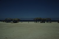 Image of sheet 19803002 photo 145: Neviot Beach, Palestine Sinai Israel 1980