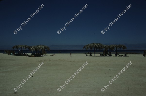 Image of sheet 19803002 photo 145: Neviot Beach, Palestine Sinai Israel 1980