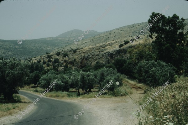 Image of sheet 19803002 photo 147: On the way, North Israel 1980.