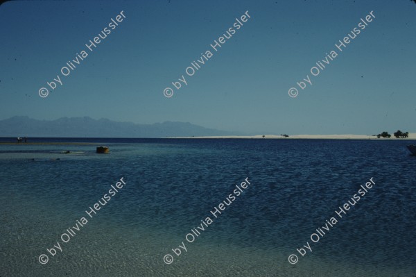 Image of sheet 19803002 photo 150: Strand am roten Meer, Israel 1980.