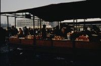 Image of sheet 19803002 photo 20: Bauern verkaufen Tomaten am Markt, Alma Ata Soviet Union, Russland 1987.