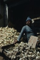 Image of sheet 19803002 photo 21: Bauer verkauft Zwiebeln am Markt, East-Jerusalem Palestine 1980.