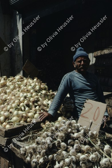 Image of sheet 19803002 photo 21: Bauer verkauft Zwiebeln am Markt, East-Jerusalem Palestine 1980.